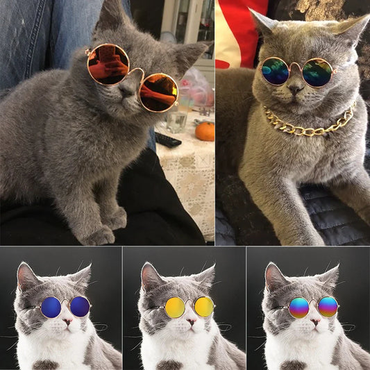 Cool Colored Sunglasses for Cats & Dogs - Fun Pet Accessories for Photos, Kitten Lenses, and Sun Protection