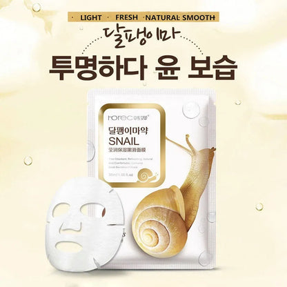 10 Pack Snail Moisturizing Face Masks – Oil Control & Skin Replenishing Sheet Masks for Tender Skin Care, Korean Cosmetics