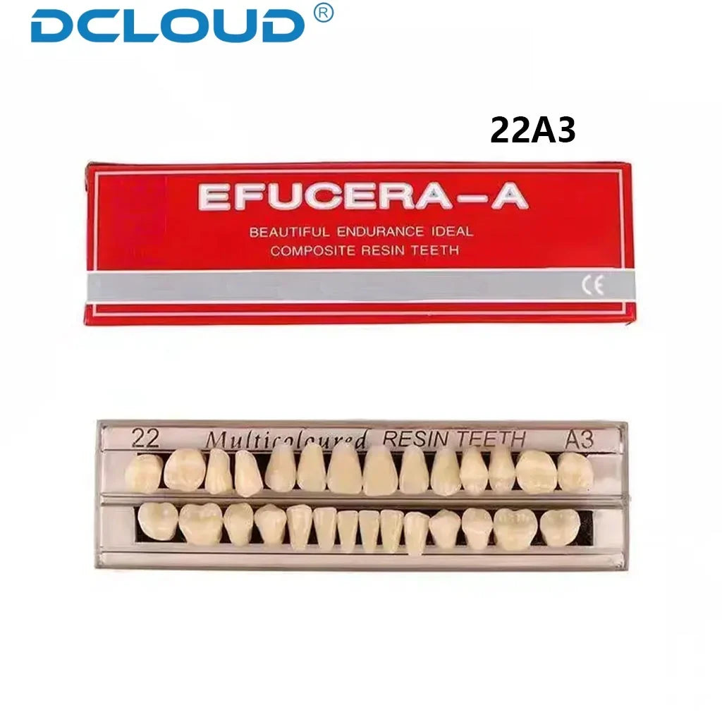 28-Teeth Dental Acrylic Resin Denture Set – Upper & Lower False Teeth Model (A2/A3, Shade 22# & 23#) for Dental Education & Research