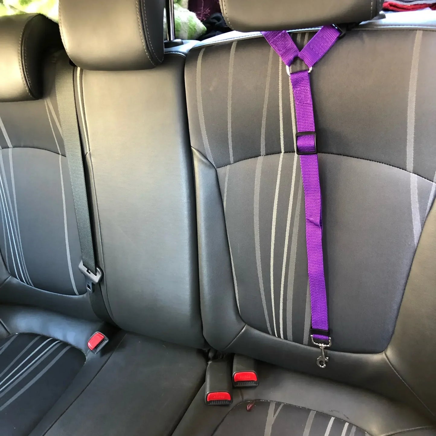 Solid Color Two-in-One Pet Car Seat Belt - Adjustable Nylon Lead Leash for Backseat Safety, Dogs Harness Collar Accessory