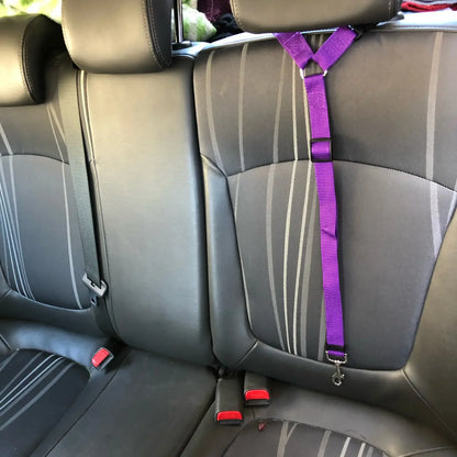 Solid Color Two-in-One Pet Car Seat Belt - Adjustable Nylon Lead Leash for Backseat Safety, Dogs Harness Collar Accessory
