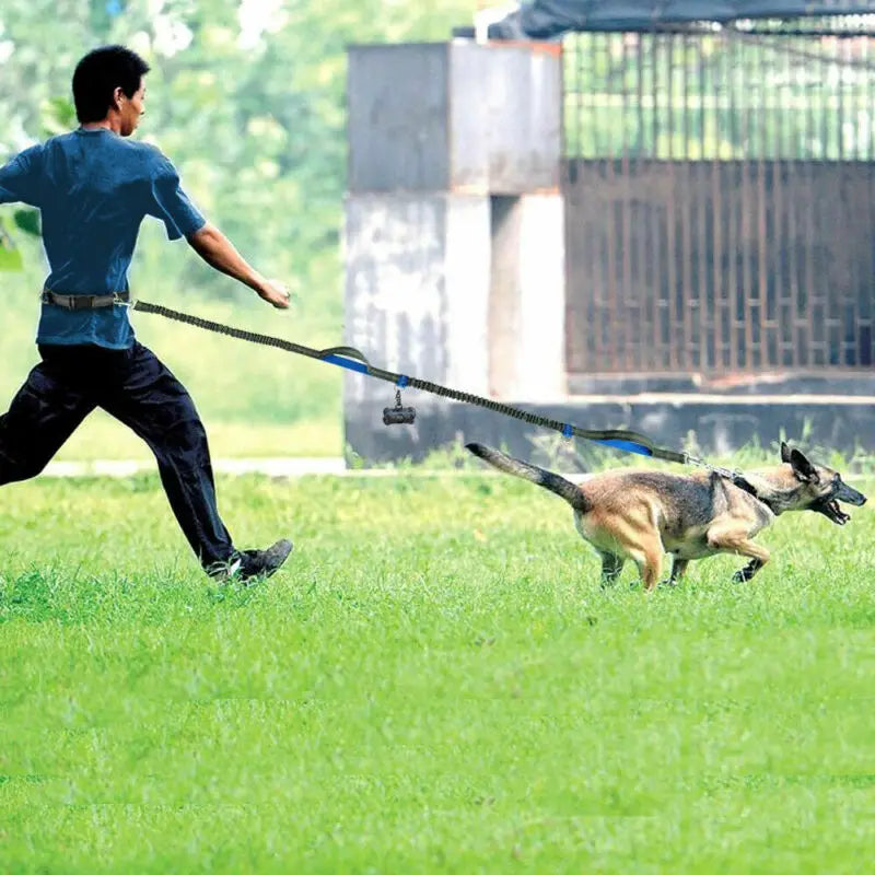 Reflective Pet Dog Running Belt: Elastic Hands-Free Jogging Leash with Metal D-Ring Harness - Traction Rope for Freely Jogging Pull