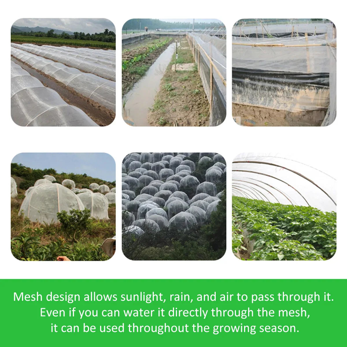 Garden Insect Protection Net – Greenhouse Protective Cover for Flowers, Vegetables, and Fruit Plants