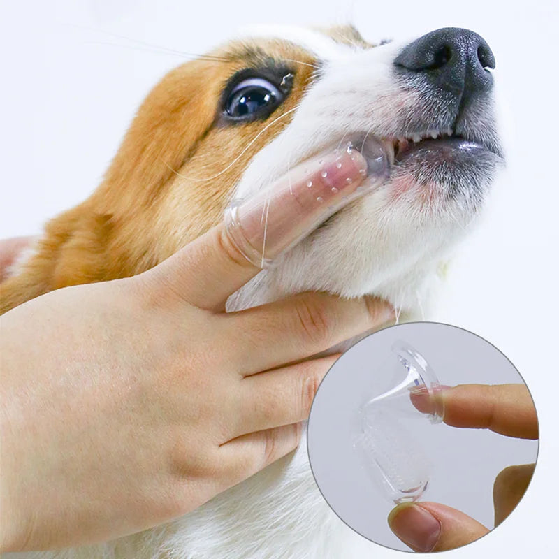 Super Soft Pet Finger Toothbrush - Teddy Dog and Cat Teeth Cleaning Tool for Bad Breath and Tartar Care, Silicagel Pet Supplies