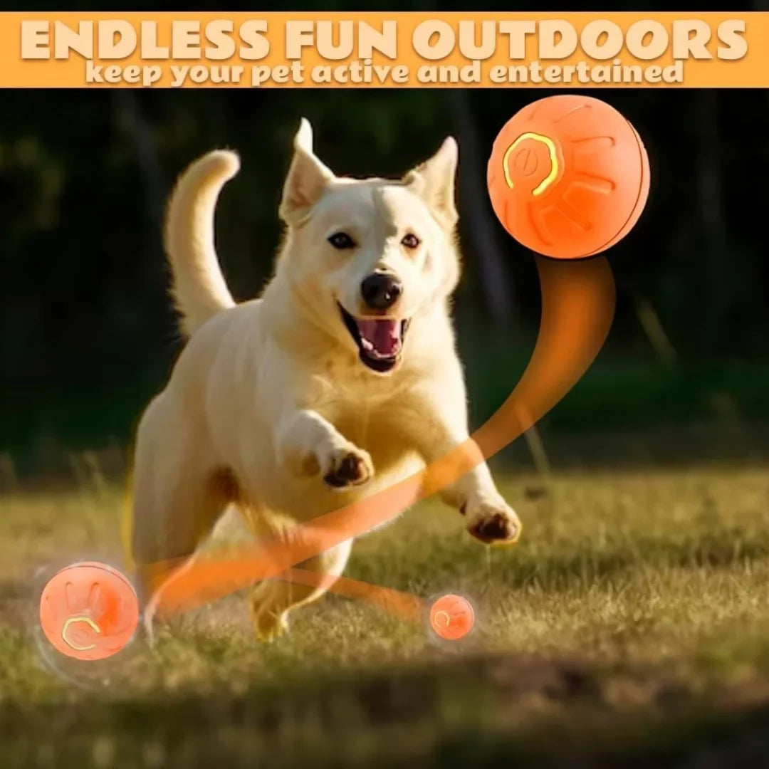 Smart Gravity Electric Bouncing Pet Ball Toy for Dogs and Cats – Interactive Automatic Rolling Amusement Toy for Pets