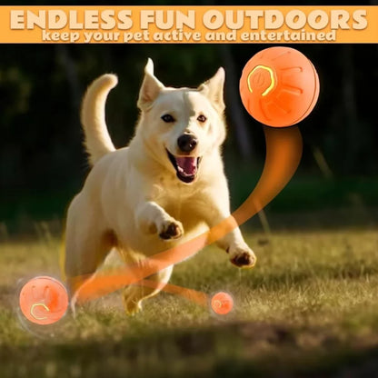 Smart Gravity Electric Bouncing Pet Ball Toy for Dogs and Cats – Interactive Automatic Rolling Amusement Toy for Pets
