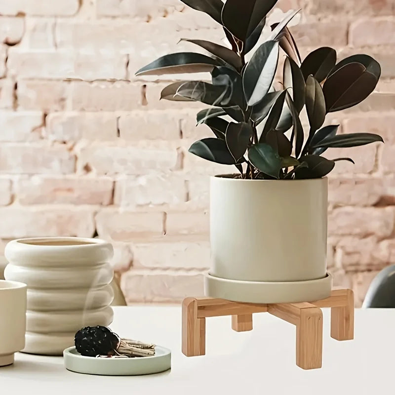 Multi-Level Plant Shelf - Durable Square Stand for Succulents, Cacti & Flower Pots