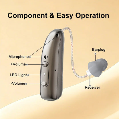 Mirasing Bluetooth Hearing Aid - Rechargeable RIC BTE with Noise Reduction & Charging Case