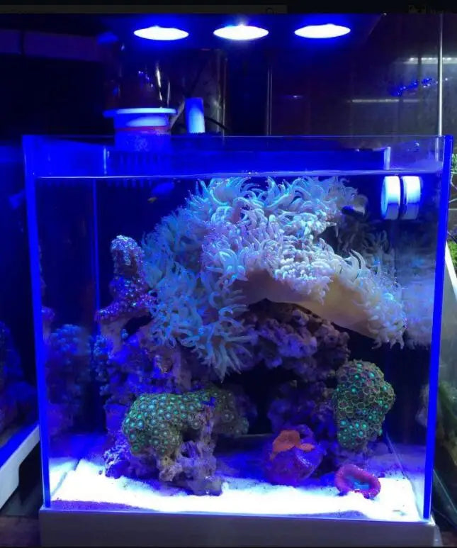 Spectra Nano 029 Aquarium Light 30W – Touch Control Saltwater Lighting for Coral Reef Fish Tanks