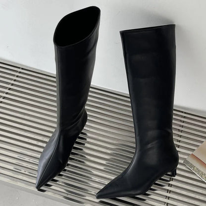 Aneikeh 2025 Fashion Sexy Pointed Low Heel Knee-High Boots – Women's Spring/Autumn PU Western Party Boots (Size 35-40)