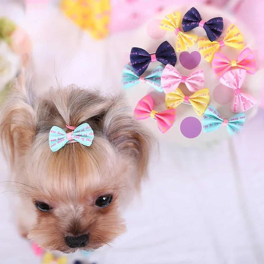 5-Piece Cute Dog Hairpin Set - Colorful Bone-Shaped Clips for Pet Grooming, Suitable for Puppies, Chihuahuas, Pugs & More