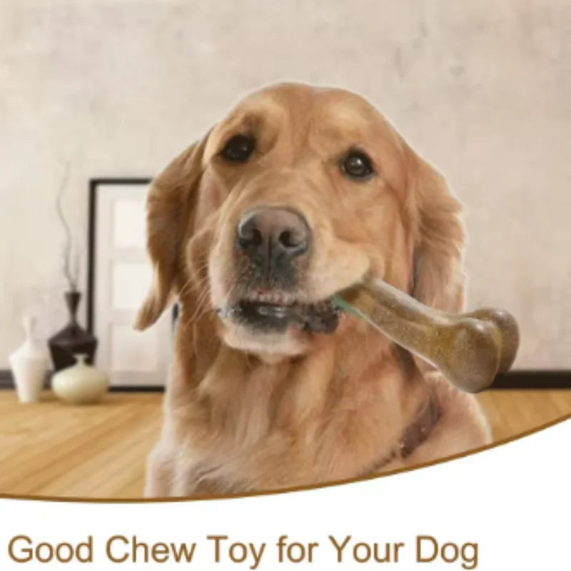 Natural Non-Toxic Indestructible Dog Chew Bone Toy – Anti-Bite Puppy Teething Toy for Small, Medium & Large Dogs Pet Chew Toy