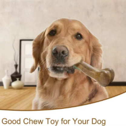 Natural Non-Toxic Indestructible Dog Chew Bone Toy – Anti-Bite Puppy Teething Toy for Small, Medium & Large Dogs Pet Chew Toy