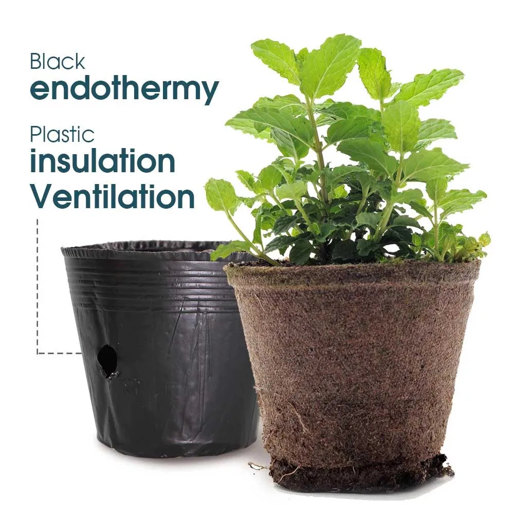 50pcs Black Plastic Seedling Pots – Breathable Nursery Containers for Seed Starting & Plant Cuttings