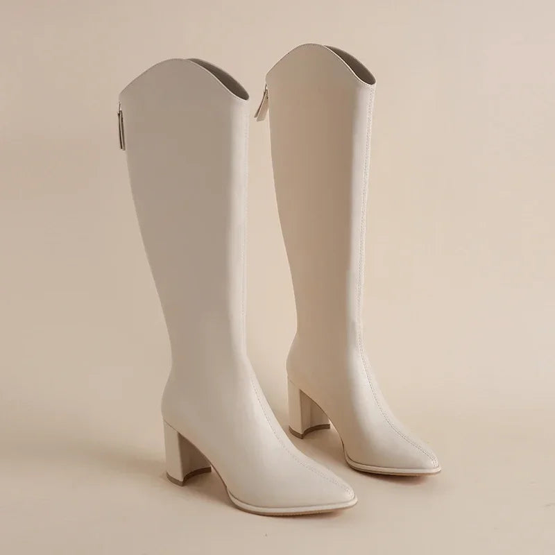 Plus Size 34-43 Women's Knee-High Boots – Zipper Thick High Heels for Autumn & Winter