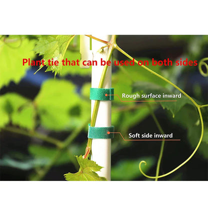 3 Rolls Green Garden Twine Plant Ties - Nylon Plant Bandage with Hook Loop for Bamboo Cane Wrap Support - Garden Accessories