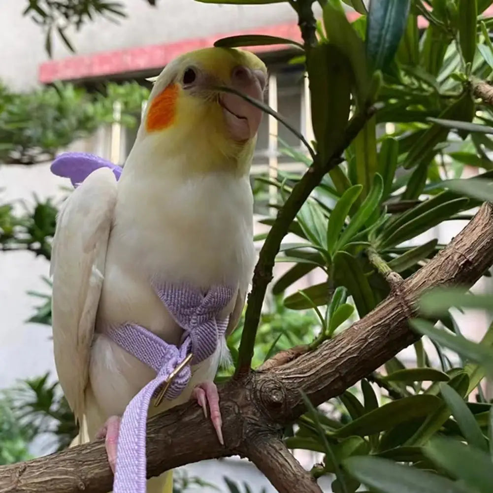 Ultra-Light Parrot Bird Flying Traction Rope: Adjustable Harness Outgoing Leash with Comfortable Handle Straps Band