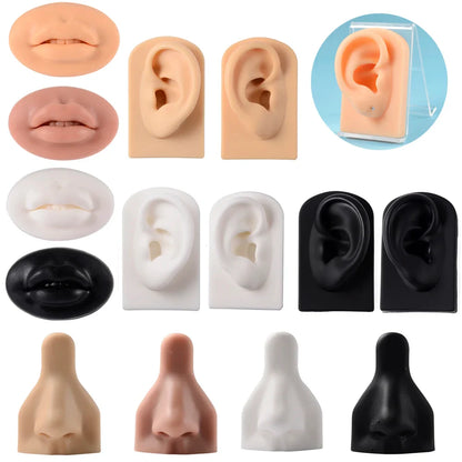 Soft Silicone Ear Nose Mouth Practice Model – Tattoo & Piercing Jewelry Display Stand with Acrylic Earring Holder Kit for Training & Showcase