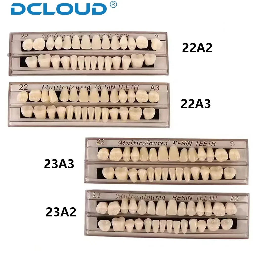 28-Teeth Dental Acrylic Resin Denture Set – Upper & Lower False Teeth Model (A2/A3, Shade 22# & 23#) for Dental Education & Research