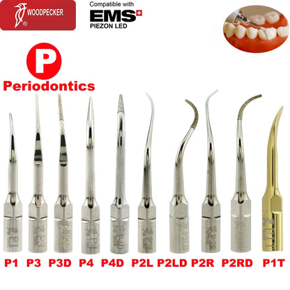 Woodpecker Dental Scaler Tips – Ultrasonic Tooth Cleaning, Endo & Perio Scaling Tips, Fit EMS UDS Scaler Handpiece