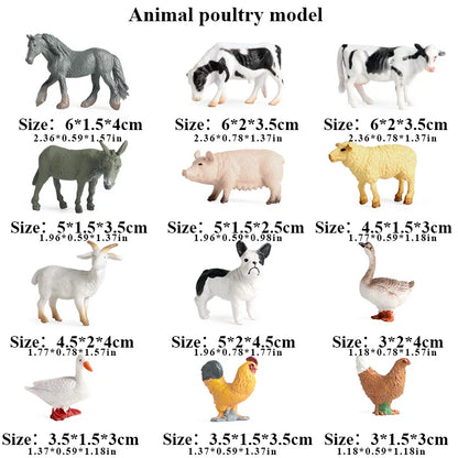 Oenux Montessori Miniature Animal Model Set - Lion, Shark, Horse, Dinosaur Figurines for Educational Play and Zoo-Themed Gifts for Kids