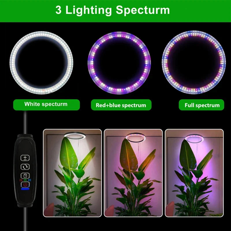 165cm Height Adjustable LED Ring Grow Light – Full Spectrum USB Plant Lamp for Indoor Plants, Large Growing Light