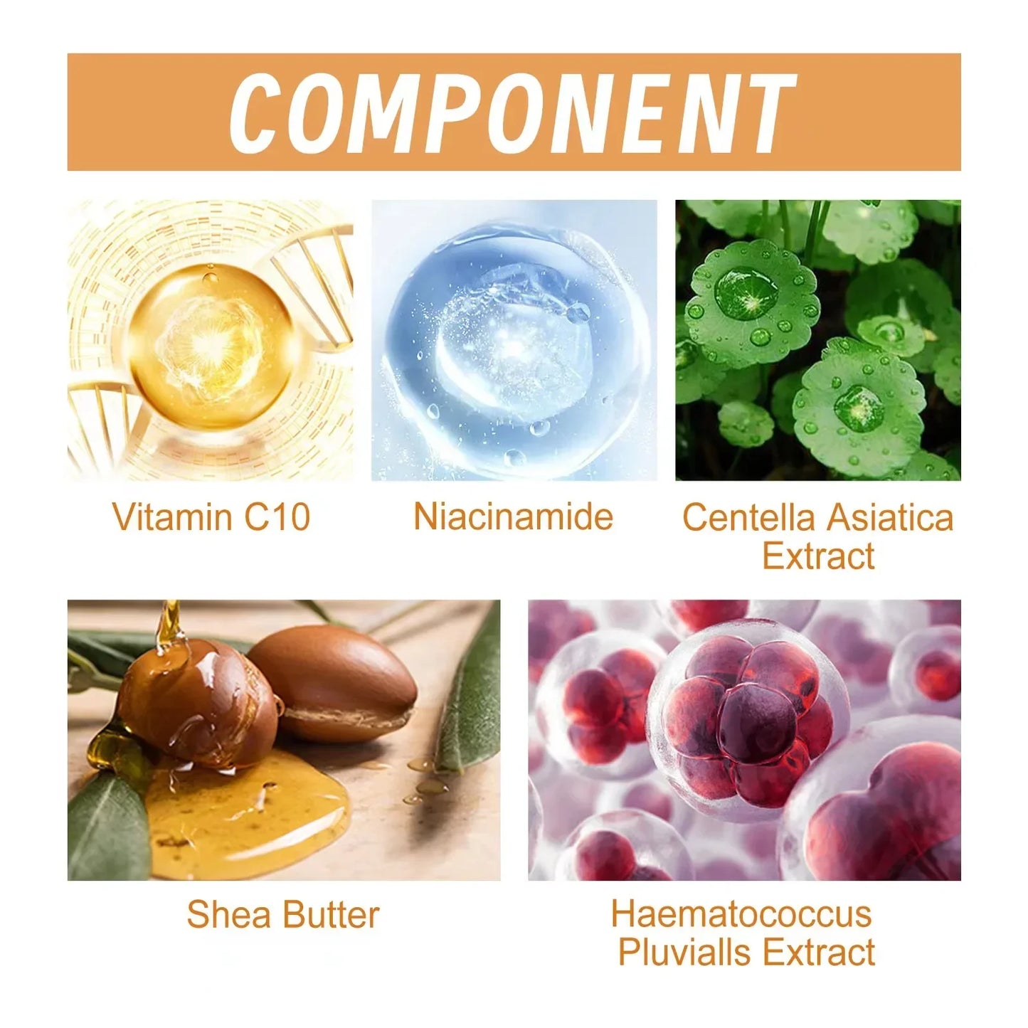 Vitamin C Wrinkle Remover Face Serum – Lifting, Firming & Anti-Aging Essence for Brightening & Nourishing Skin