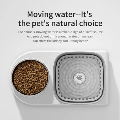 2-in-1 Cat Water Fountain: Automatic Drinker and Feeding Bowl - 3L Recirculating Filtered Water Dispenser for Happy and Hydrated Cats