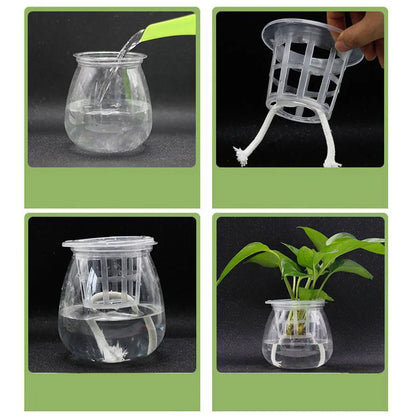 50pcs Hydroponic Mesh Net Baskets — Soilless Plant Nursery Cups for Veggie & Clone Growth