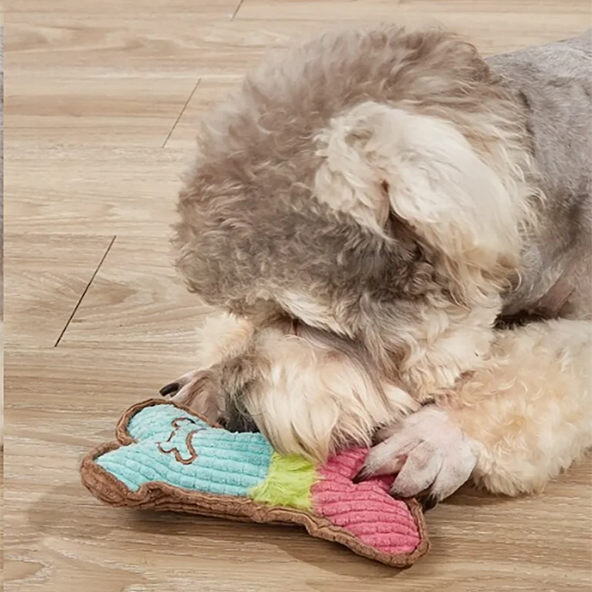 Interactive Squeaky Dog Toy: Plush Chew for Small to Medium Breed Puppies - Ideal Birthday Gift for Playful Pets