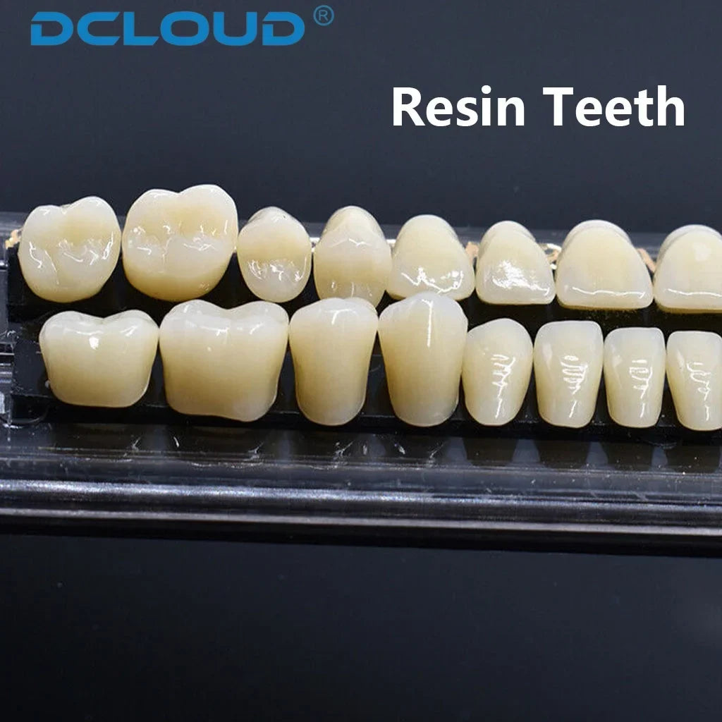 28-Teeth Dental Acrylic Resin Denture Set – Upper & Lower False Teeth Model (A2/A3, Shade 22# & 23#) for Dental Education & Research