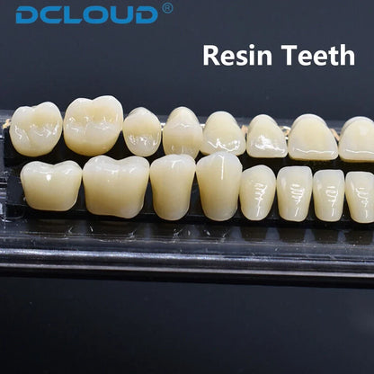 28-Teeth Dental Acrylic Resin Denture Set – Upper & Lower False Teeth Model (A2/A3, Shade 22# & 23#) for Dental Education & Research