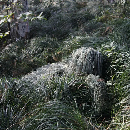 3D Camouflage Ghillie Hunting Suit | 5-Piece Withered Grass Camouflage Set