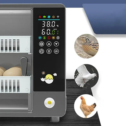 24-Egg Automatic Incubator — Touch Control Hatchery Machine for Chicken, Duck, Quail & Bird Eggs