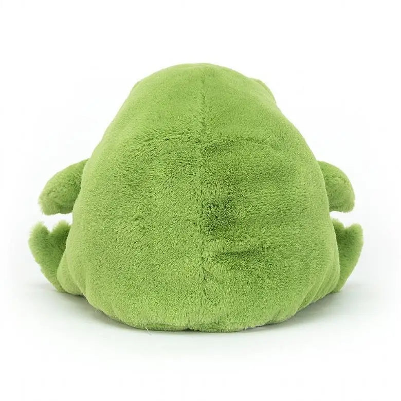 Ricky Rain Grumpy Frog Plush Toy — Cute Meme Character Stuffed Doll, Kawaii Animal Stress Relief Gift for Fans