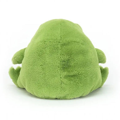 Ricky Rain Grumpy Frog Plush Toy — Cute Meme Character Stuffed Doll, Kawaii Animal Stress Relief Gift for Fans