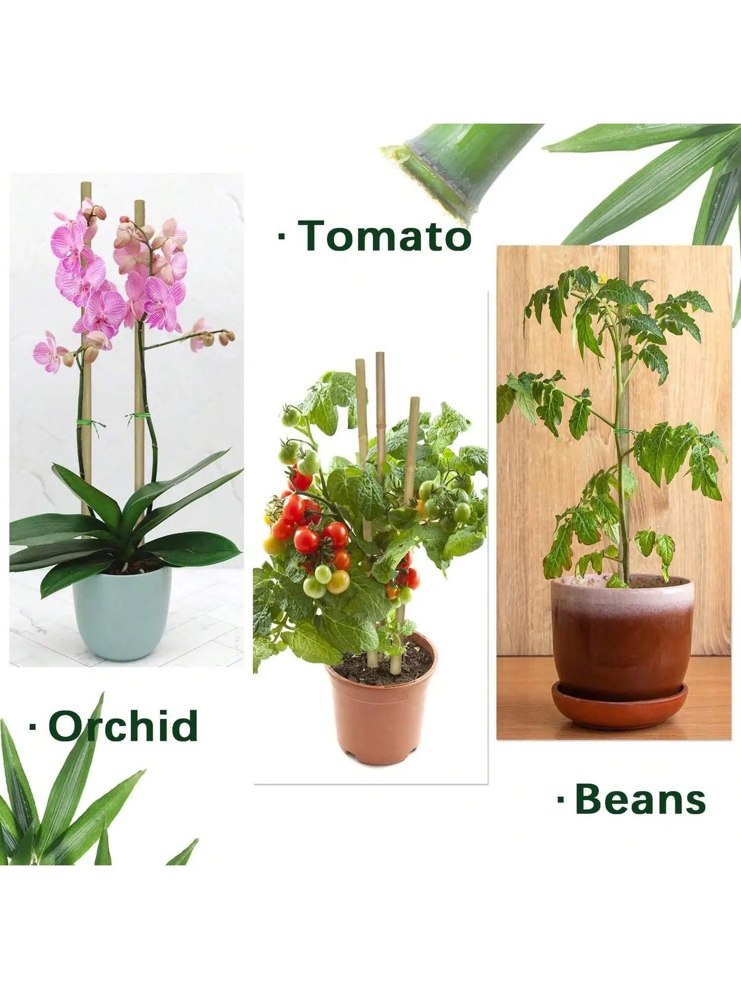 20pcs Eco-Friendly Bamboo Garden Stakes – Wooden Plant Supports for Climbing Plants and Gardening