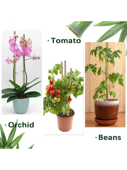 20pcs Eco-Friendly Bamboo Garden Stakes – Wooden Plant Supports for Climbing Plants and Gardening