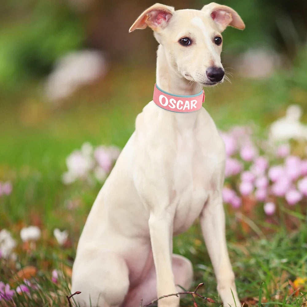 Wide Personalized PU Leather Dog Collar – Custom Tag Soft Pet Collar for Small, Medium & Large Dogs, Pitbulls & Bulldogs