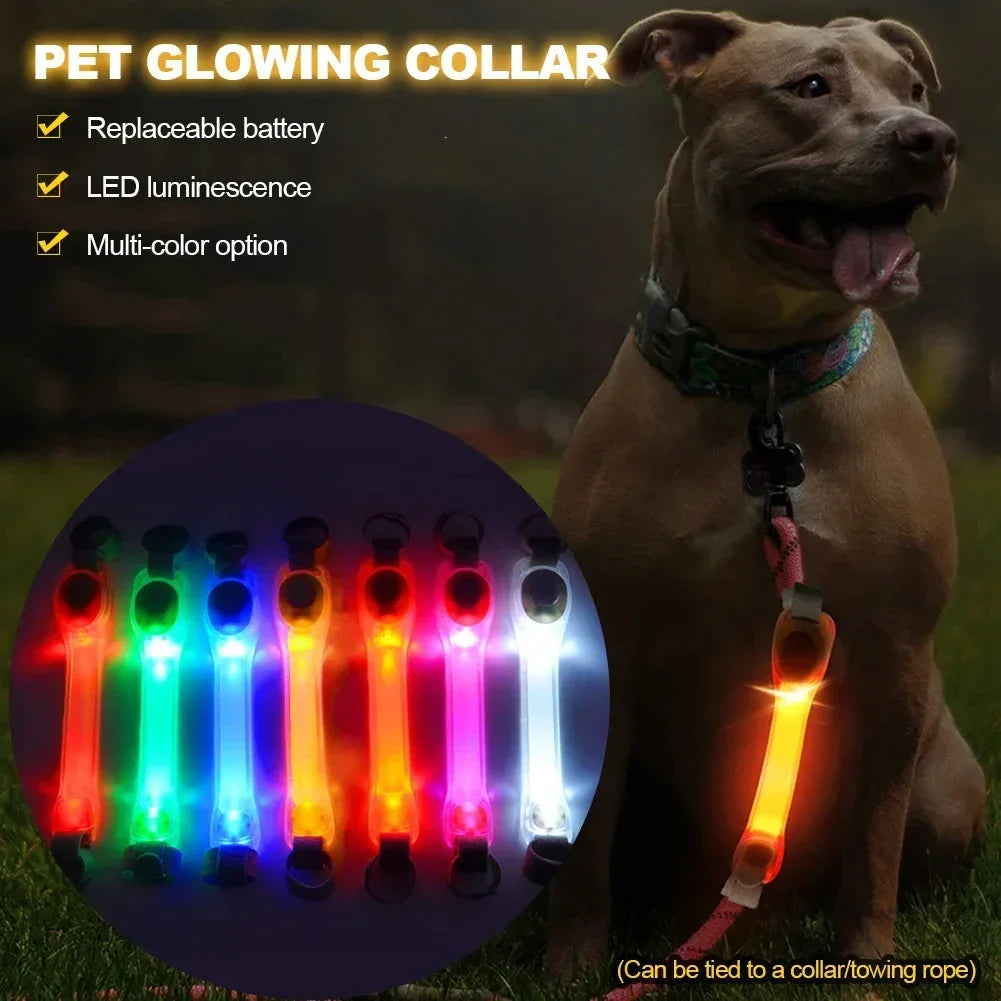 Pet LED Safety Traction Collar – Waterproof Anti-Loss Collar with Multi-Color Flashing Light Pendant for Outdoor Use