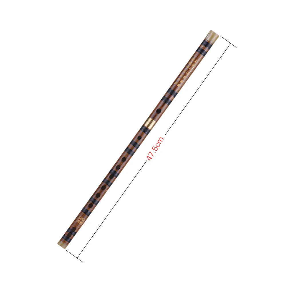 Pluggable Bitter Bamboo Dizi Flute – Handmade Traditional Chinese Woodwind Instrument, Key C/D/G for Professional Performance