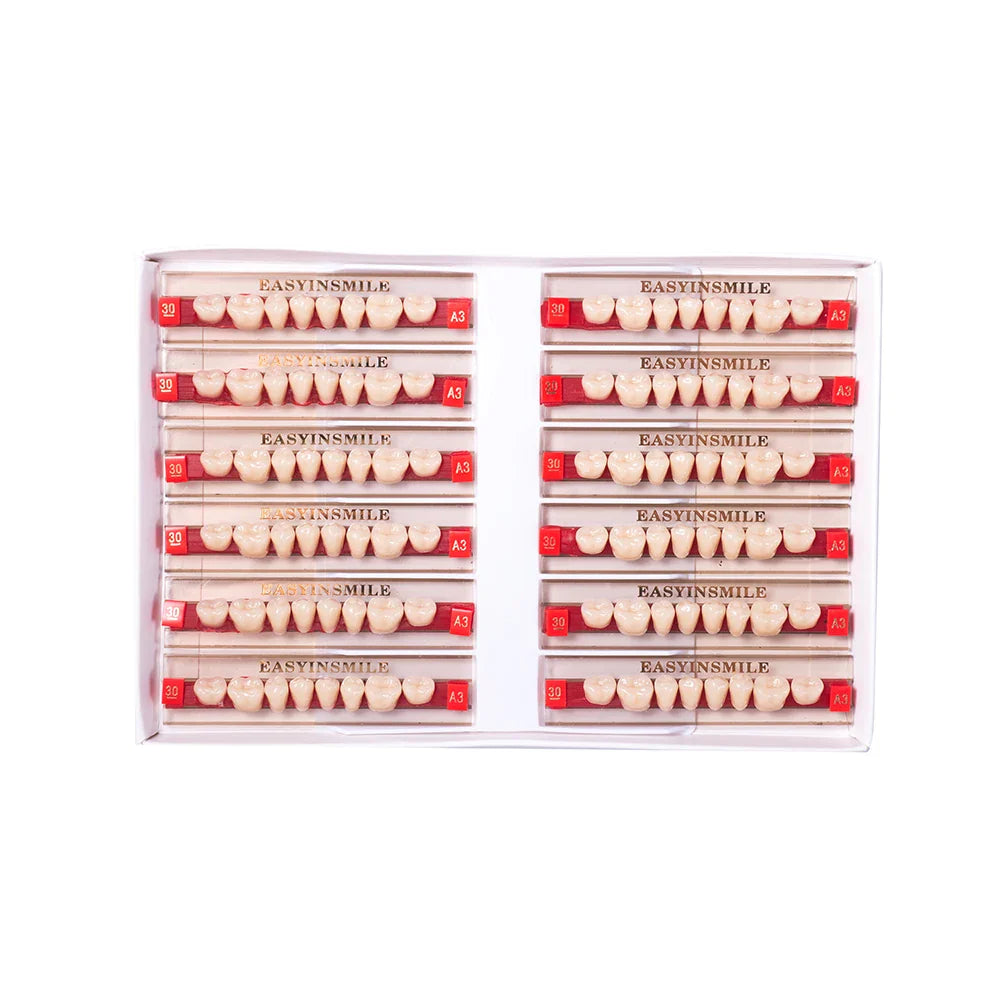 16/12 Set Dental Denture Teeth Model Kit, Upper & Lower Anterior Synthetic Polymer Teeth A2 A3 for Dental Education & Training