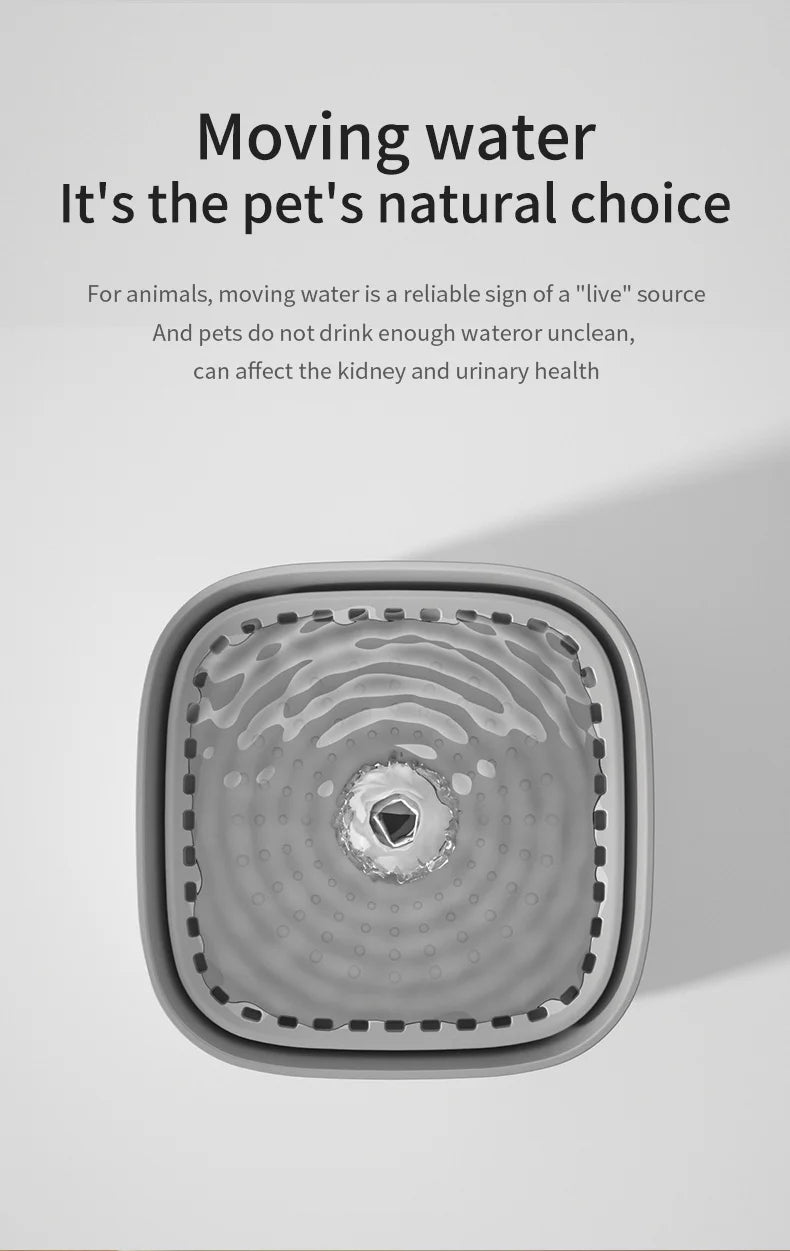 3L USB Cat Water Fountain – Automatic Filtered Water Dispenser for Cats