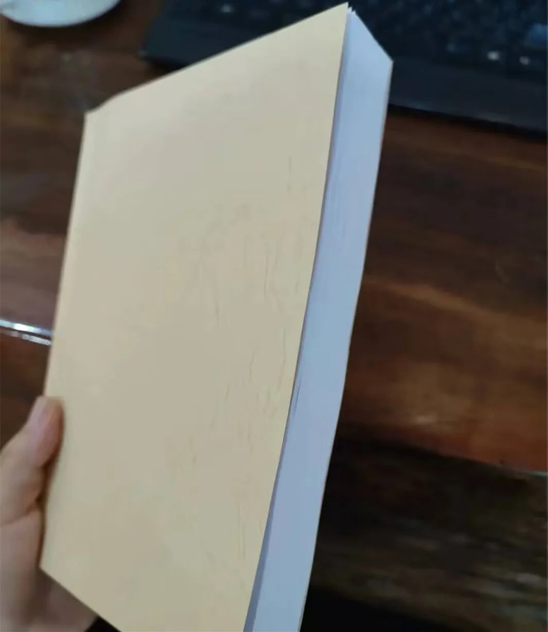 Arthur Morgan Diary – Sixth Edition English Original Red Dead Redemption Journal