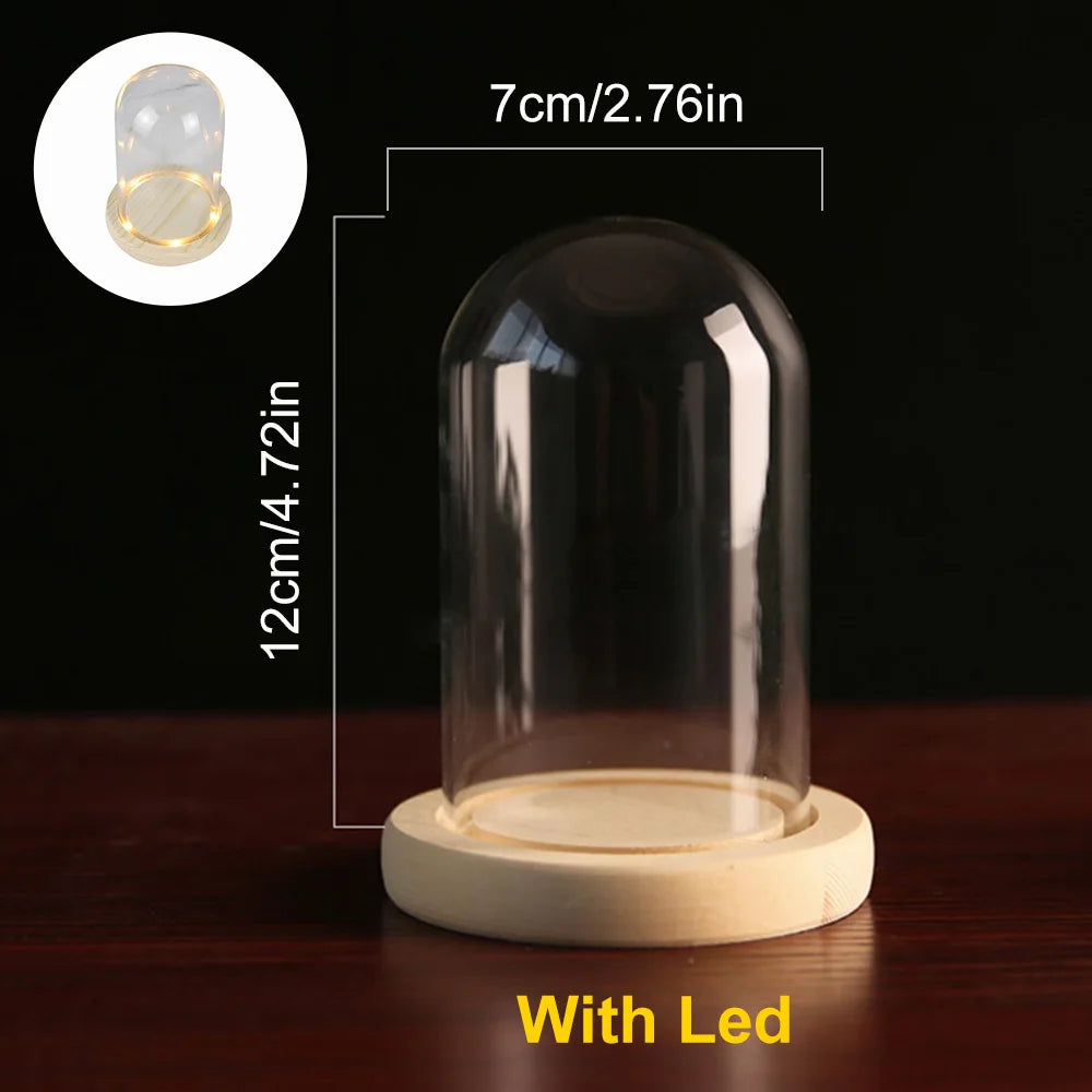 Glass Dome with Wooden Base & LED Light – Terrarium Vase, Flower Holder, Landscape Container for Bedroom Decor & Birthday Gifts