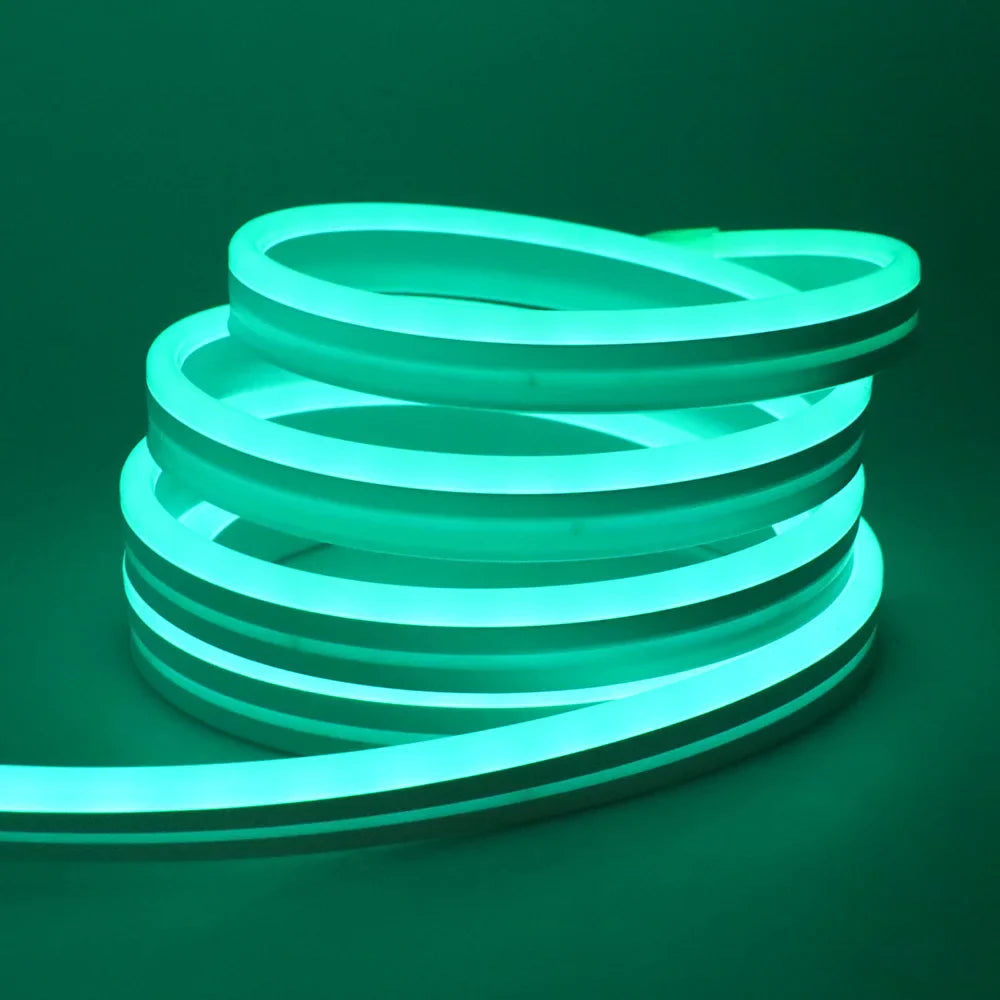 EU Plug DC24V RGB Neon LED Strip – 3535 Bluetooth Music Sync Waterproof Rope Light, 5-30M for Indoor & Outdoor Decor