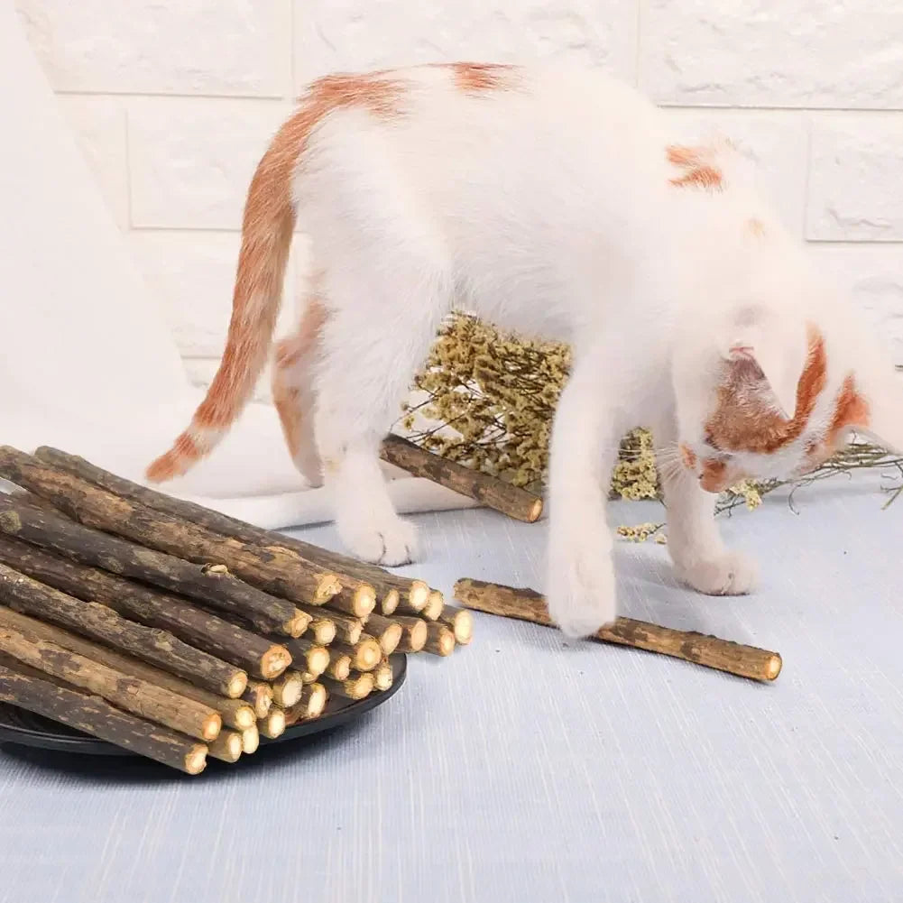 15Pcs Natural Matatabi Catnip Chew Sticks for Cats & Kittens – Silvervine Teeth Cleaning Molar Toy Pet Treat Set