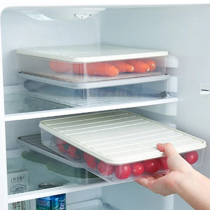 Freezer Dumpling Storage Box — Stackable Square Plastic Food Saver with Lid, Single-Layer Sealed Transparent Container