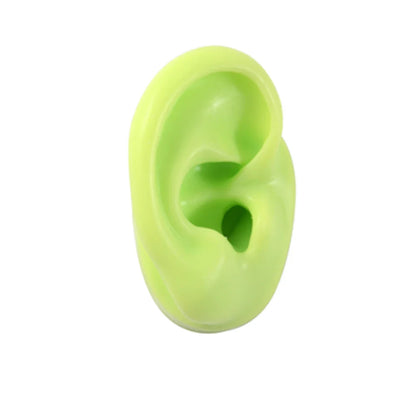 Soft Silicone Ear Model Display Stand – Tattoo Practice & Body Piercing Jewelry Holder with Acrylic Earring Display Kit for Training & Showcase