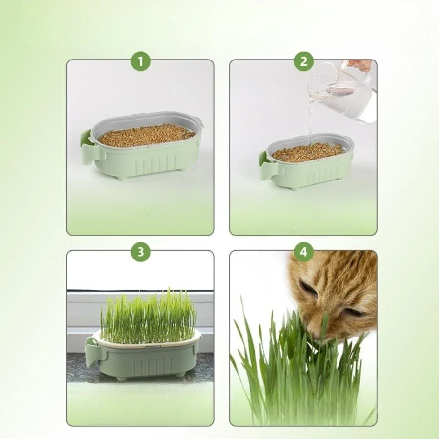 Premium Soilless Hydroponic Growing Cup - Lazy Planting Solution for Hydroponic Cultivation - High-Quality, Easy-to-Use Design